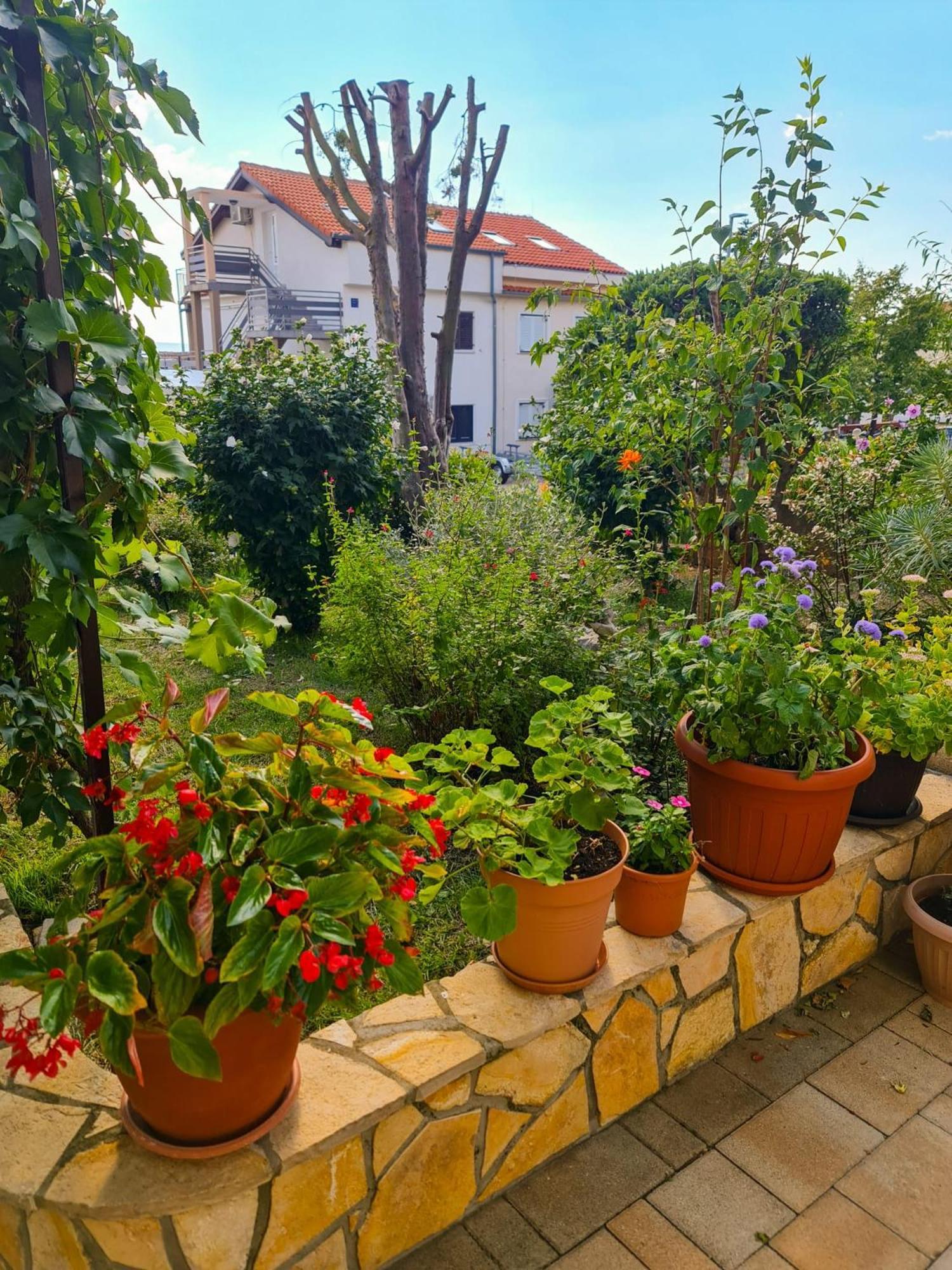 נובי ווינודולסקי Apartments Marko חדר תמונה