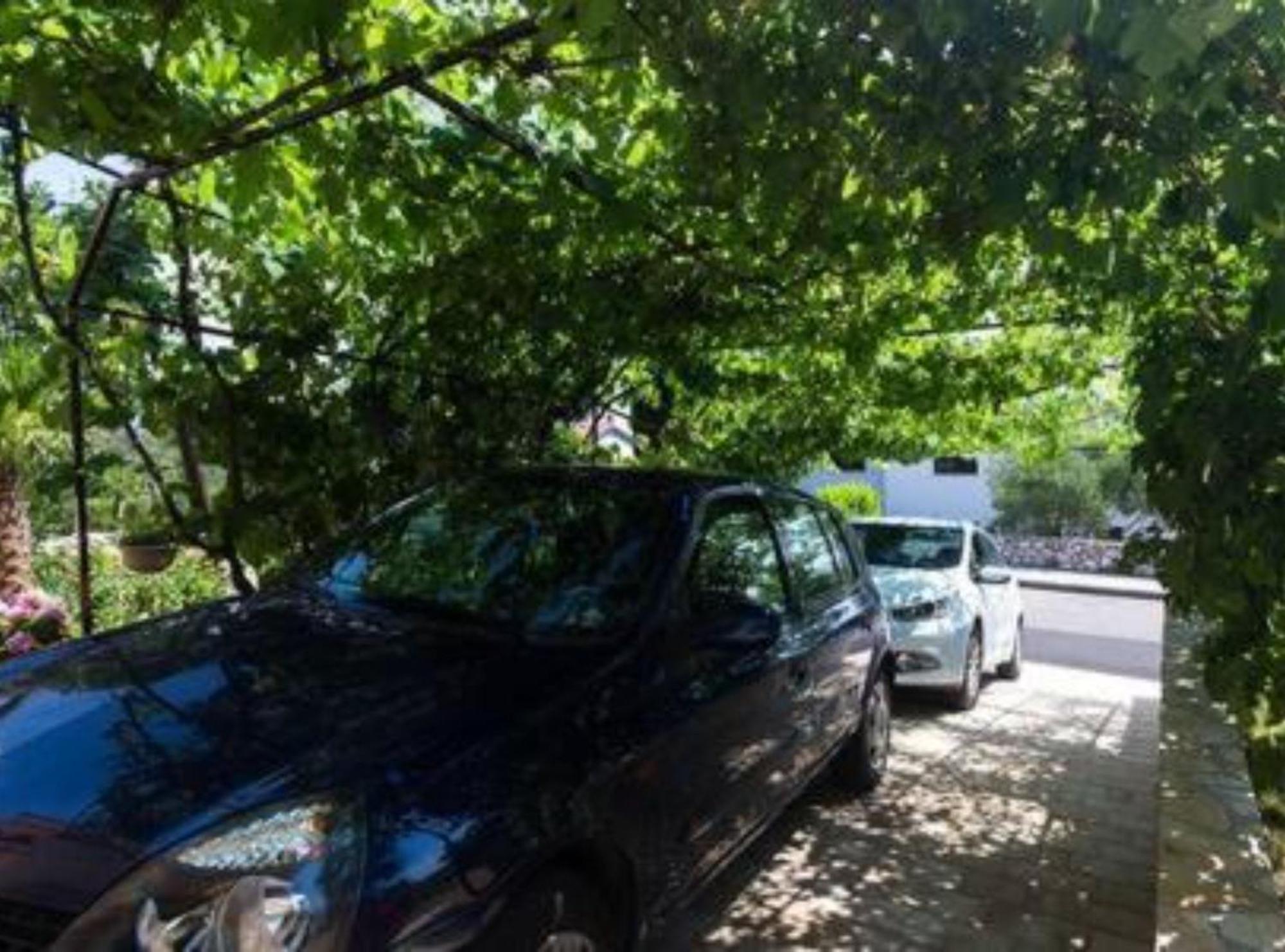 נובי ווינודולסקי Apartments Marko מראה חיצוני תמונה